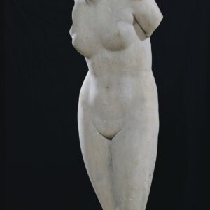 Torso of Venus